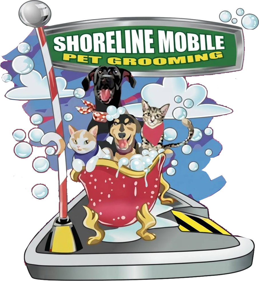 Mobile Pet Groomer in Myrtle Beach, SC | Shoreline Mobile Pet Grooming Mobile Pet Groomer in Myrtle Beach, SC | Shoreline Mobile Pet Grooming