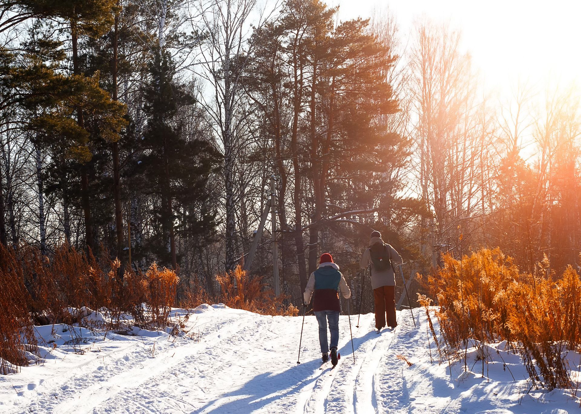 Two people cross-country skiing on a snowy trail in a forest, sunlit.