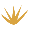 Logotipo dorado estilizado con forma de sol radiante sobre fondo blanco.