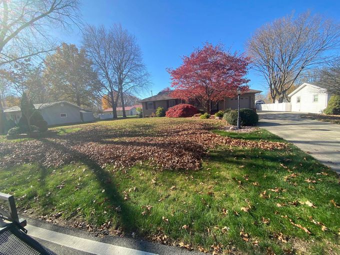 Sunny suburban yard with a red-leaf tree, green lawn, and fallen leaves beside houses