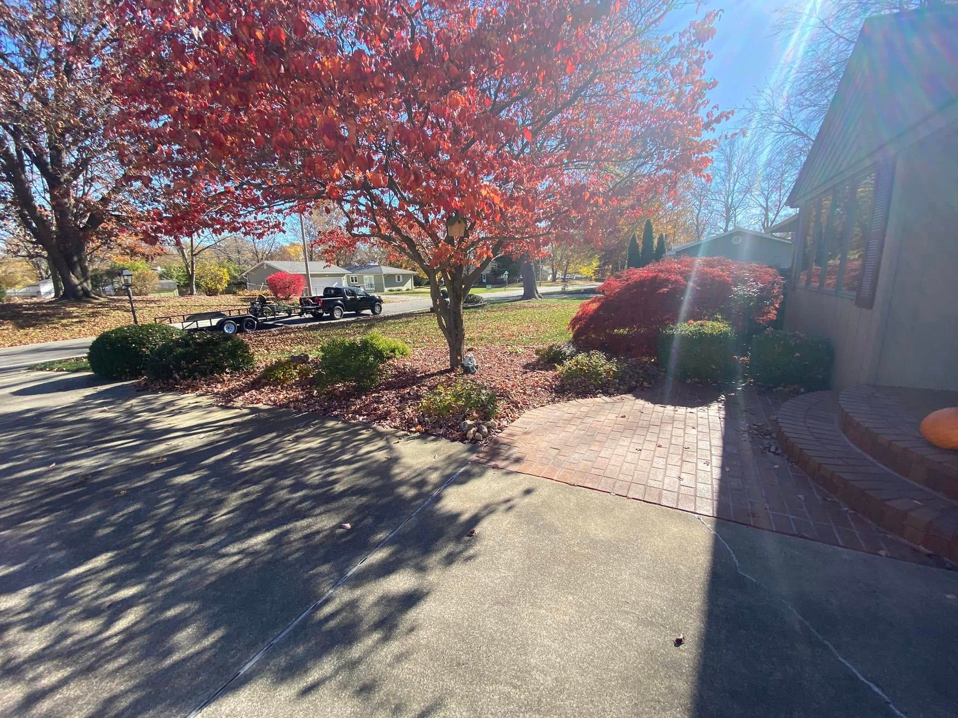Sunny suburban front yard with red-leaved trees, driveway, shrubs, and a house exterior.