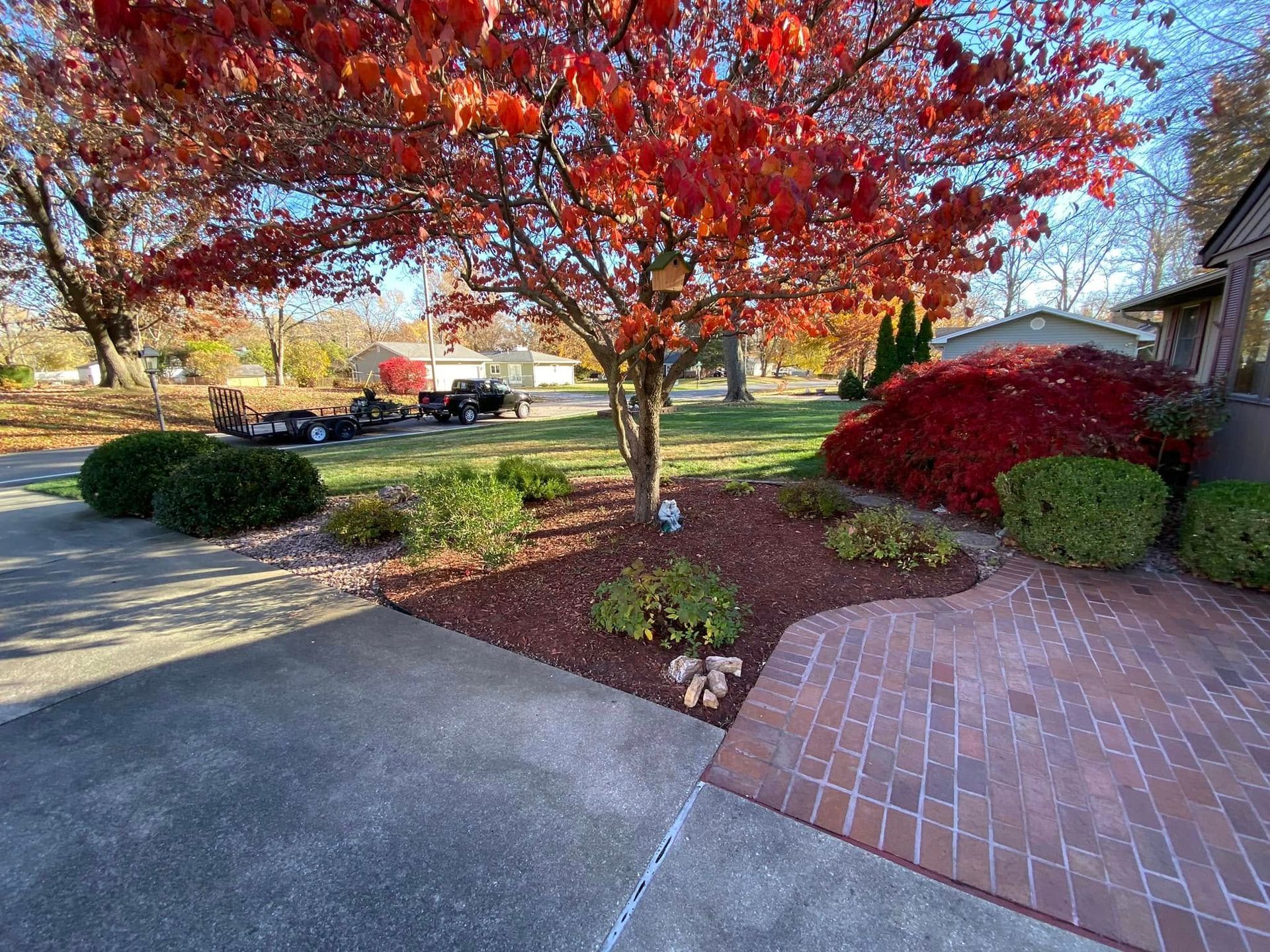 Autumn front yard with red-leaf tree, brick walkway, shrubs, and driveway beside a house