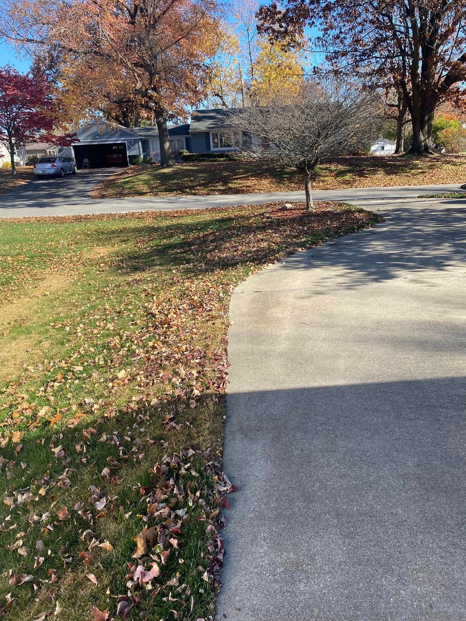 Autumn suburban sidewalk beside a driveway, with fallen leaves and trees in the yard.