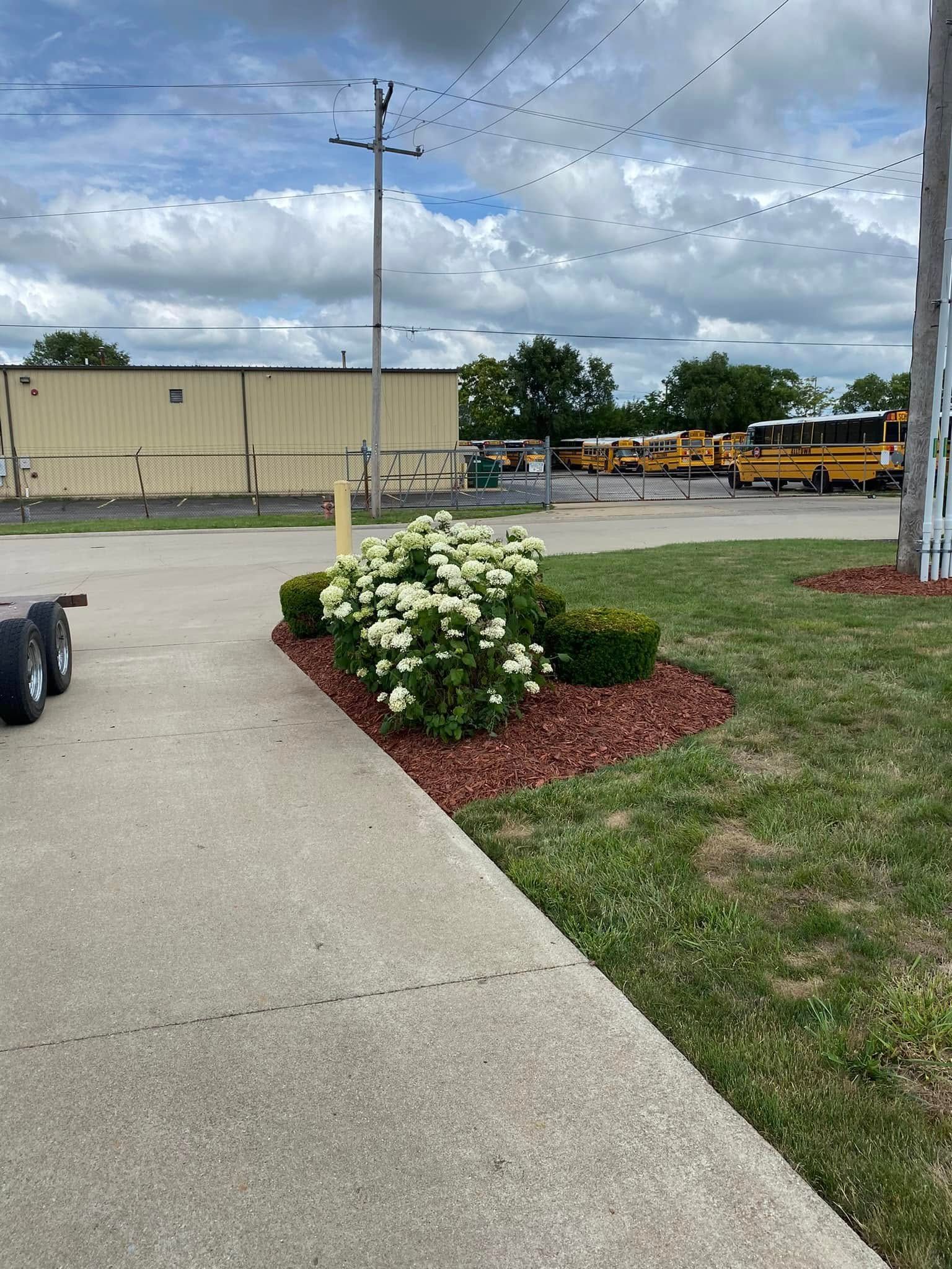 Concrete walkway beside a white flowering shrub and mulch bed near a beige building under a cloudy sky