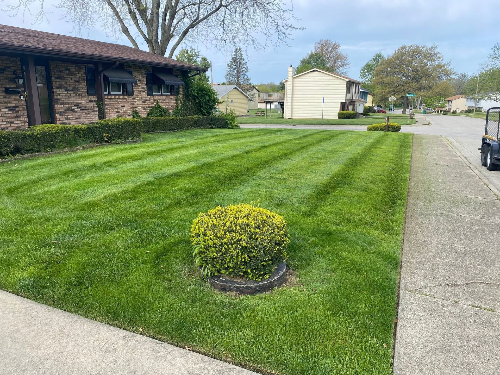 Suburban front yard with neatly striped lawn, brick house, and small round shrub near a driveway