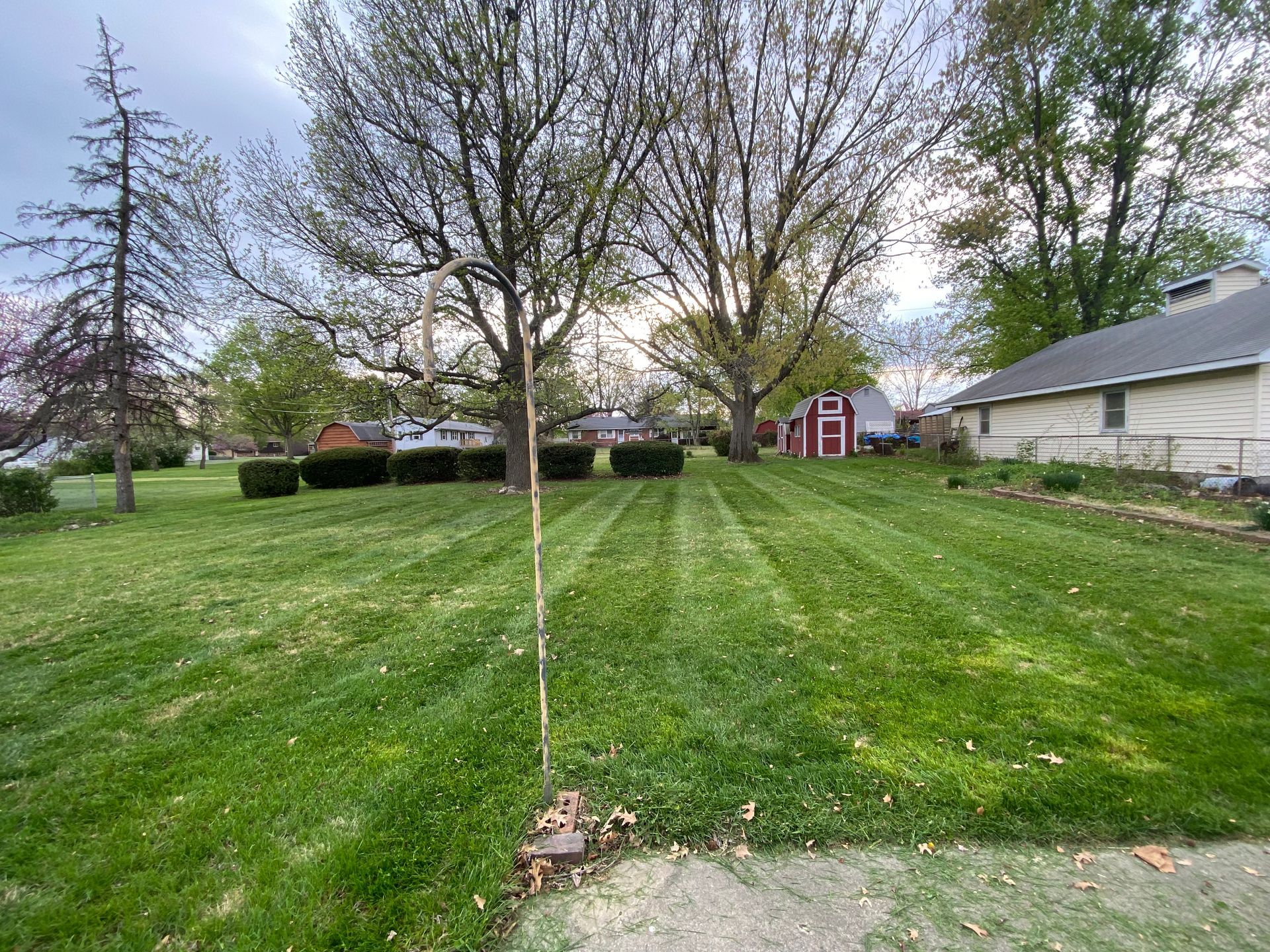Front yard with a young tree, green lawn, and houses under a cloudy sky