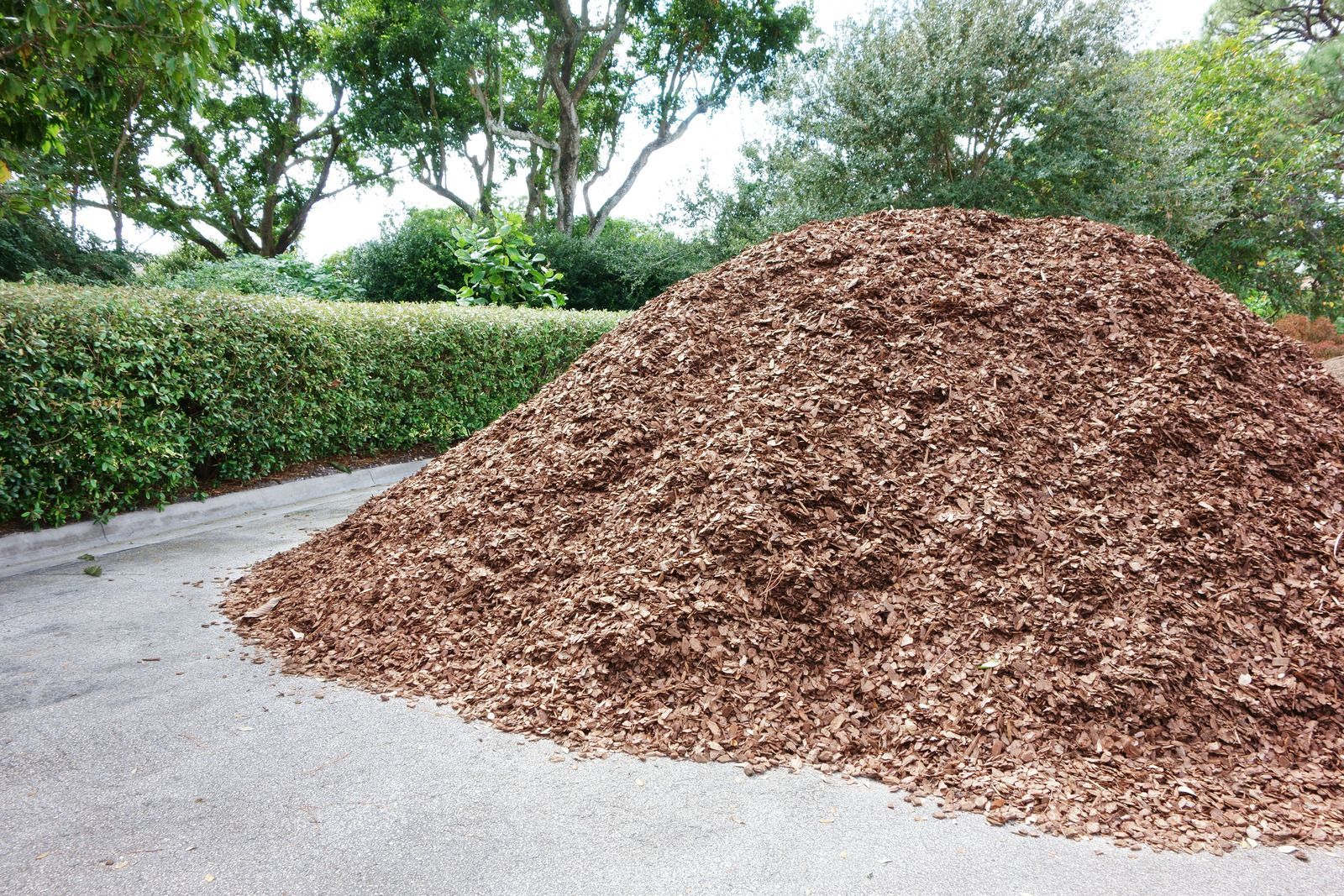 Large pile of wood chips beside a paved path, with green bushes and trees in the background