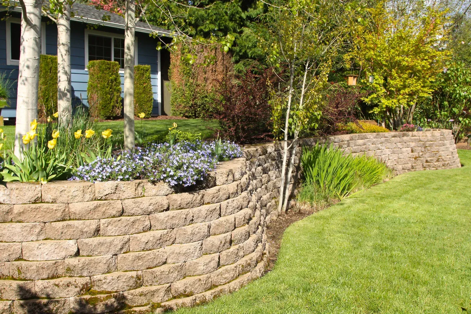 Stone retaining wall with flowering plants and shrubs beside a green lawn in a landscaped yard