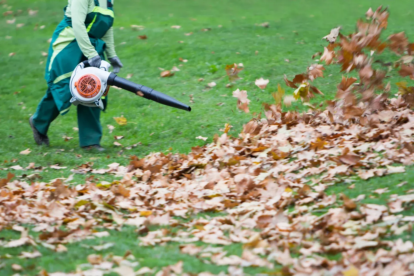 Person using a leaf blower to pile dry leaves on a grassy lawn