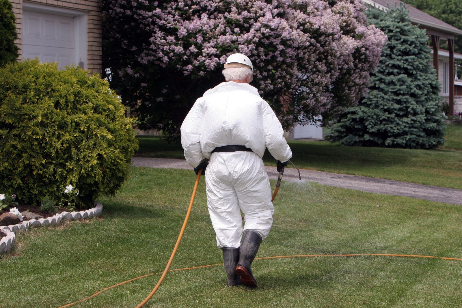 Worker in white protective suit spraying a suburban lawn with a hose.