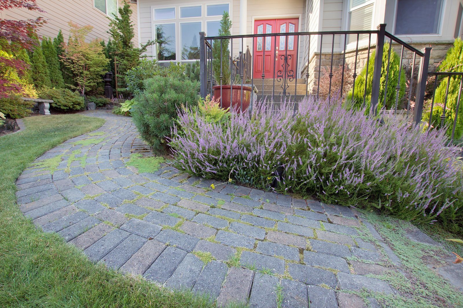 Curved stone path through a garden with lavender and a black railing by a house entrance
