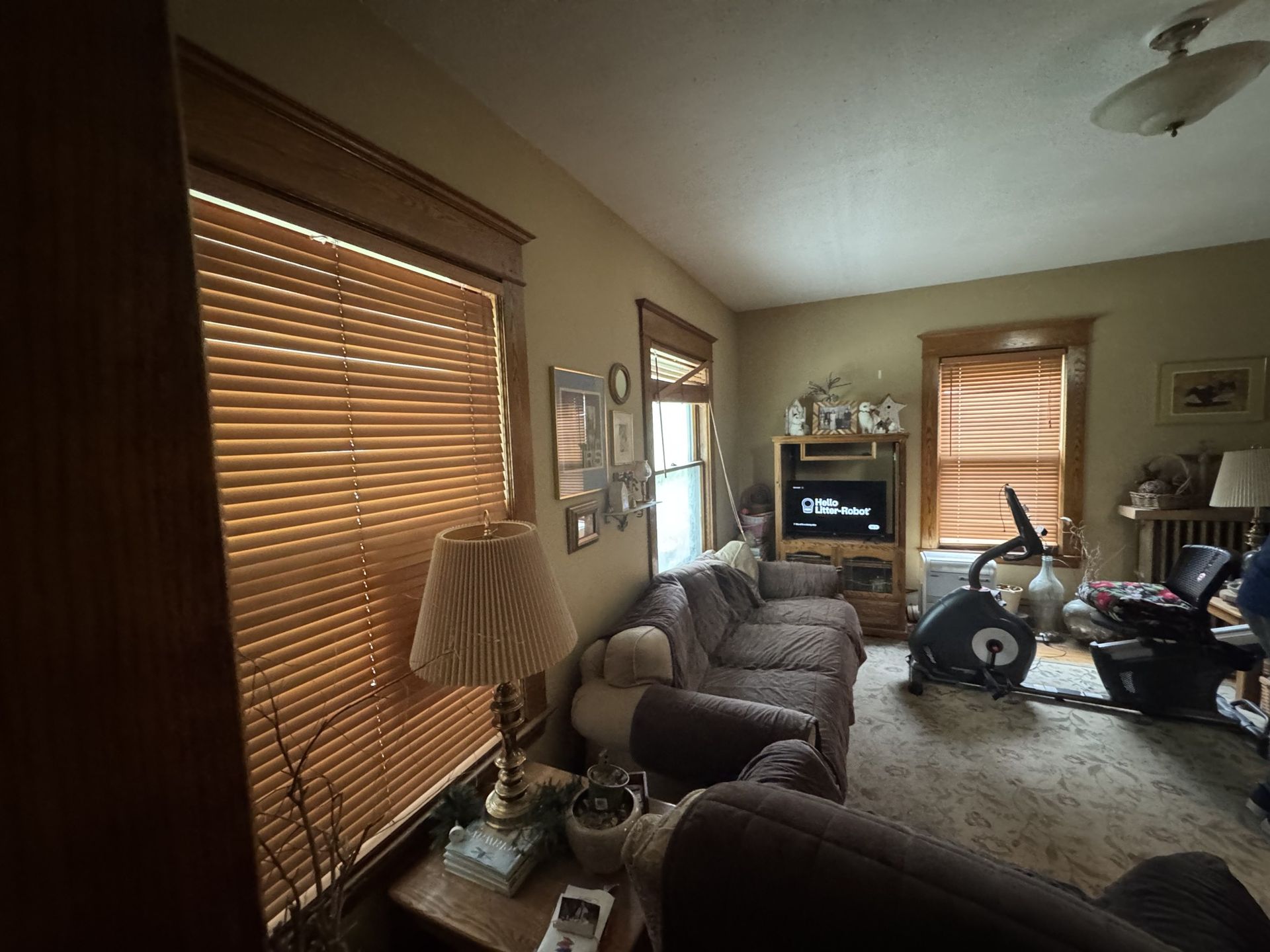 Cozy living room with blinds, couches, TV, exercise bike, and a large rug
