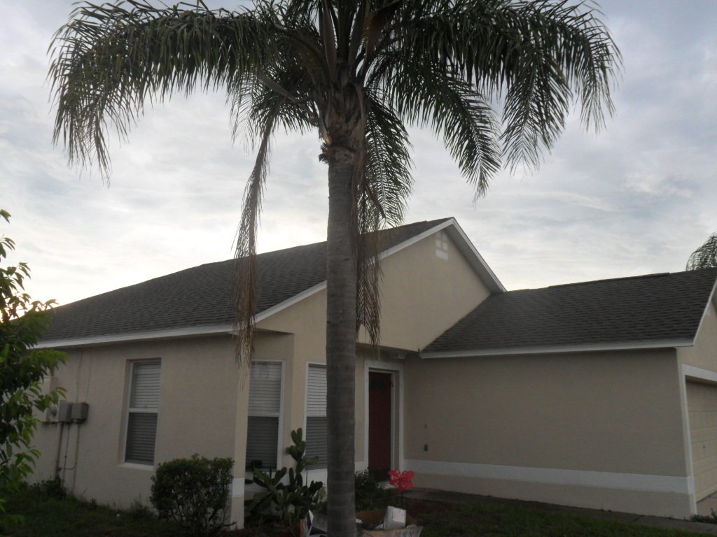 Our Projects Residential Roofer Top Dog Roofing Kissimmee