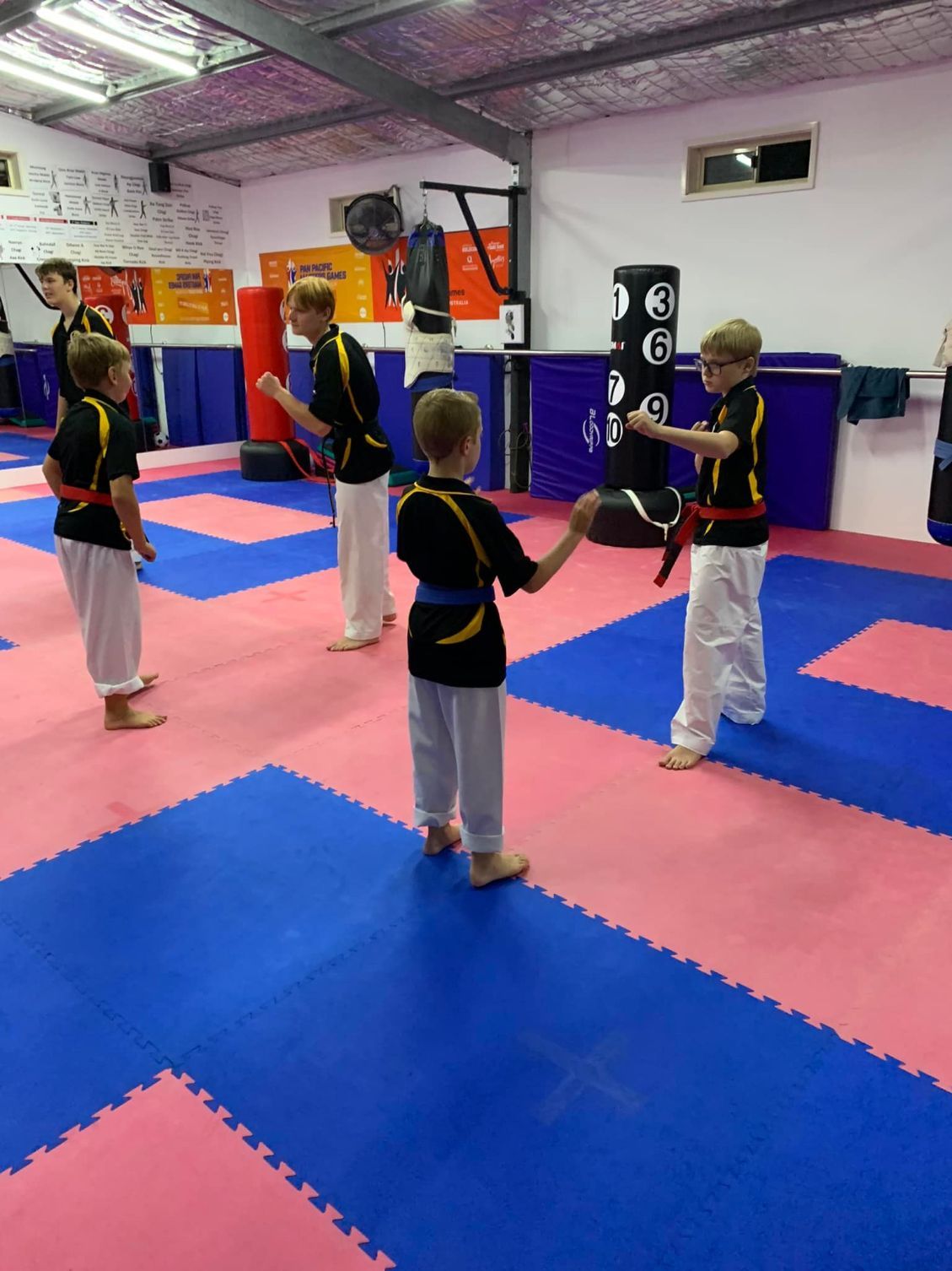 Pair of Young Boys Are Practicing Martial Arts in a Gym — Him-Do Tae Kwon Do Academy In Salamander Bay, NSW