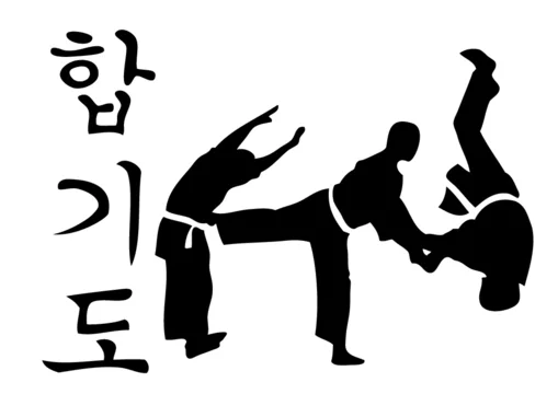 A Black and White Silhouette of Two People Doing Judo — Him-Do Tae Kwon Do Academy In Salamander Bay, NSW