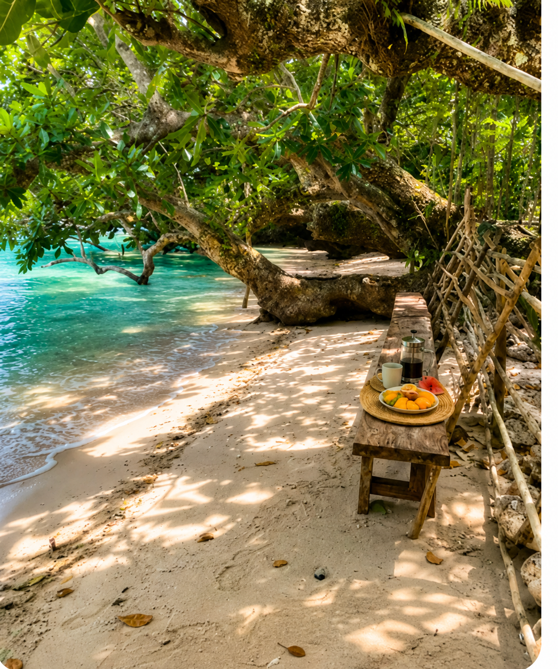 Shaded tropical beach with turquoise water, a small table of fruit, and overhanging trees beside a sandy shore