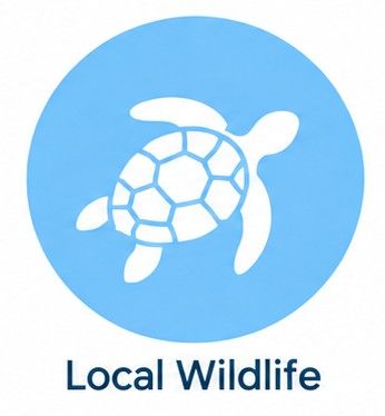 Blue turtle logo with the words “Local Wildlife” underneath