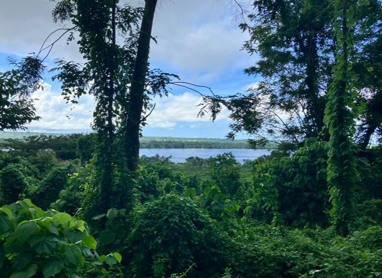 Lush green forest framing a distant lake under a partly cloudy blue sky