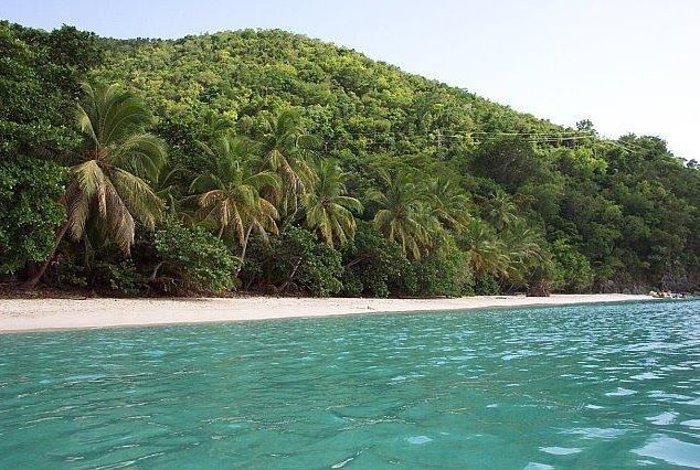 Tropical beach with turquoise water, white sand, and lush green palm-covered hills