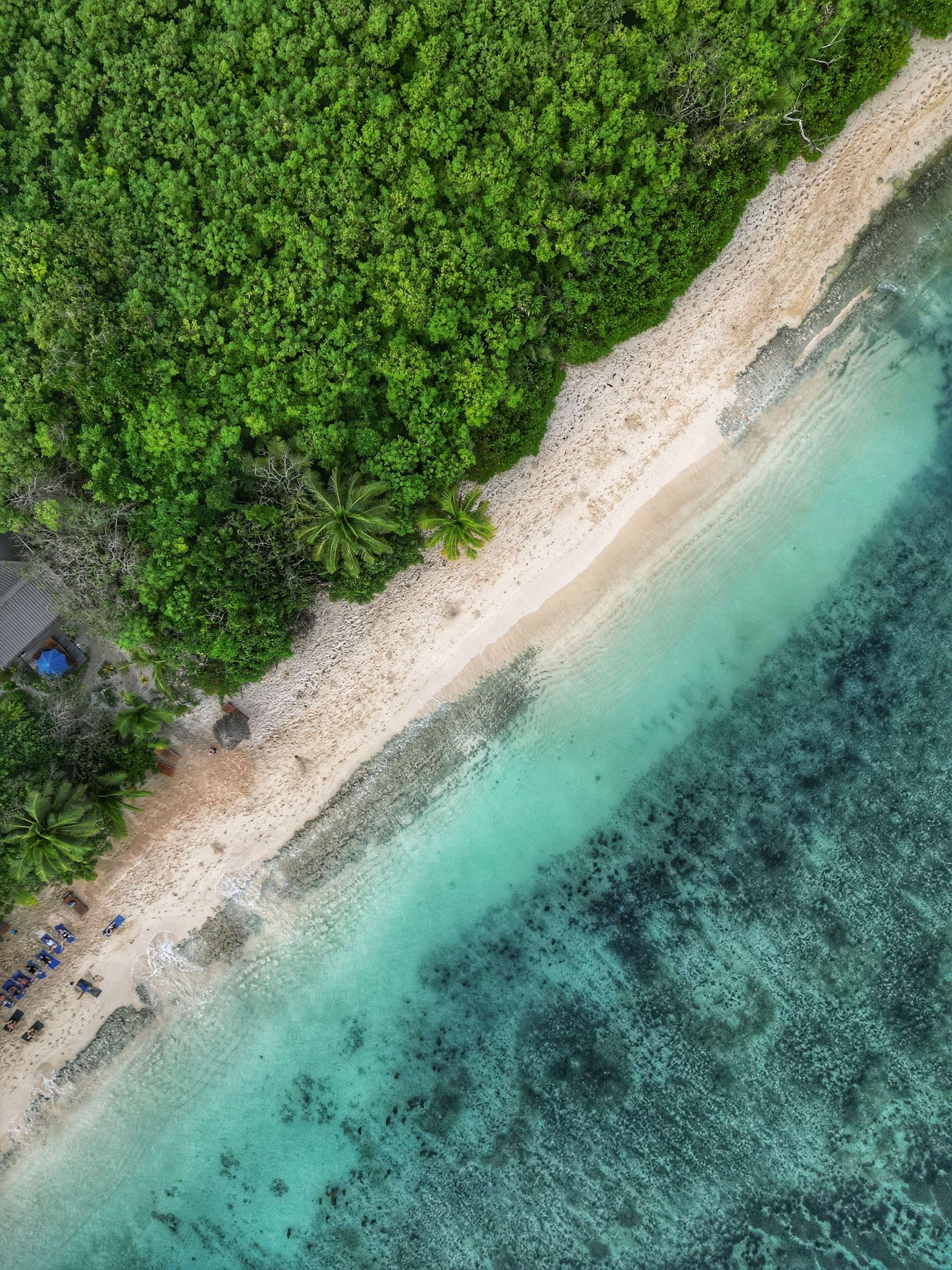 Aerial view of a tropical beach with dense green forest, white sand, and turquoise water.