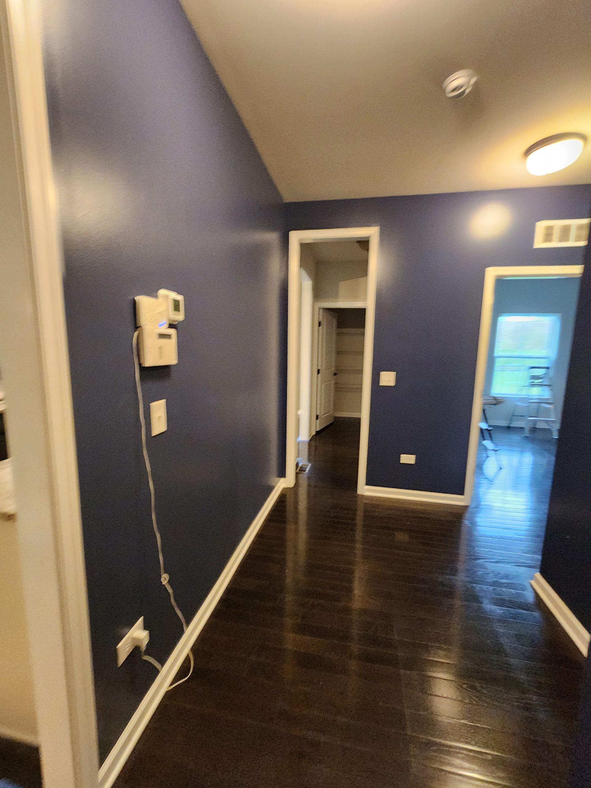 A hallway with blue walls and dark wood floors