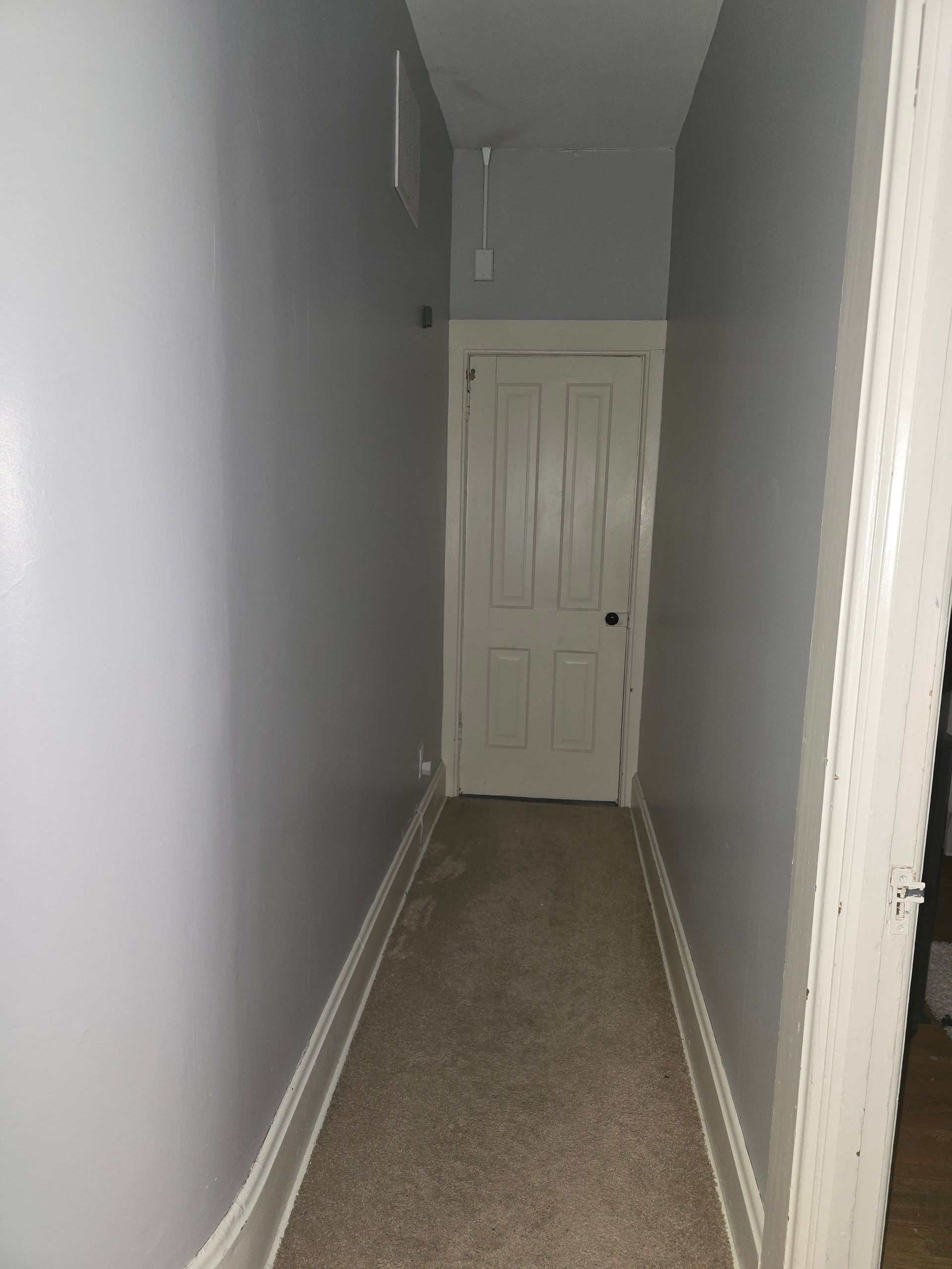 A hallway with a door and a carpeted floor in a house.