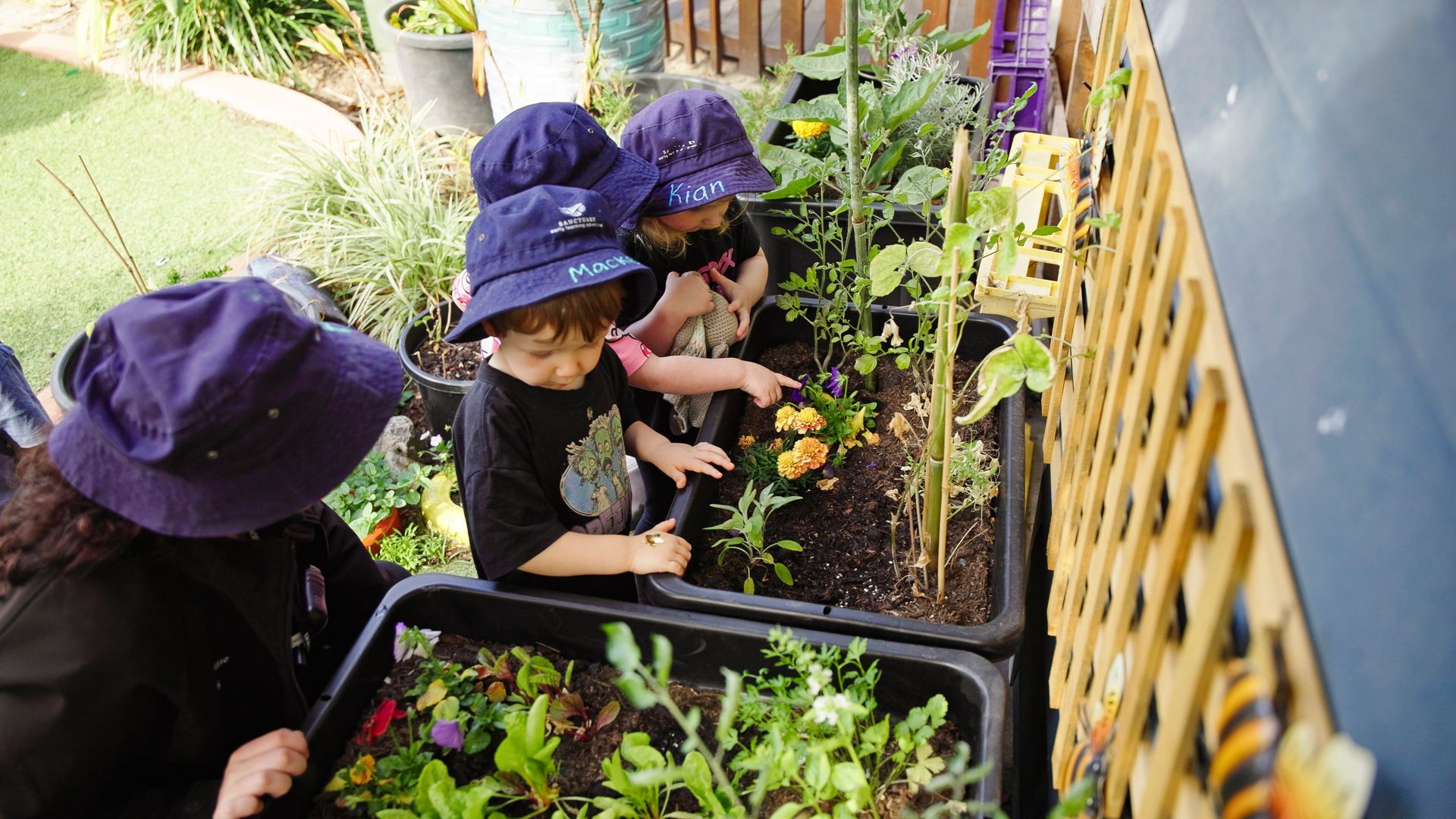 children in the garden