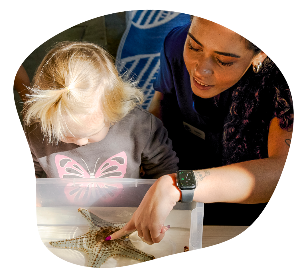 A child and an adult touch a starfish in a container; both are smiling and looking down.
