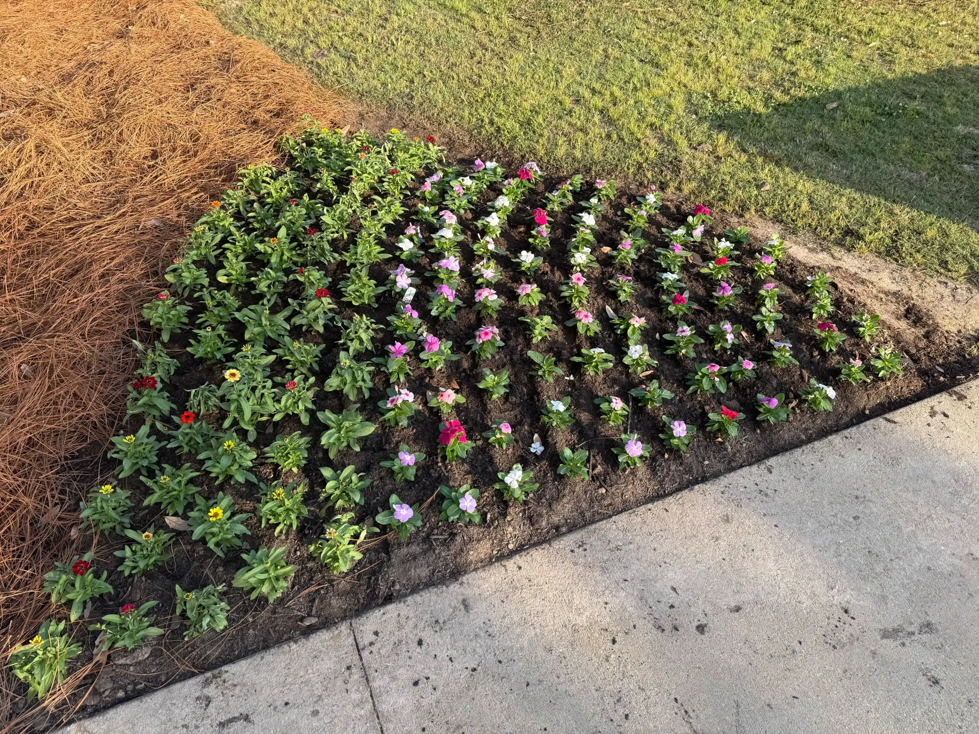 Flowerbed Installation
