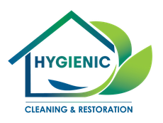 Hygienic Cleaning & Restoration logo with blue house roof and green leaf shapes