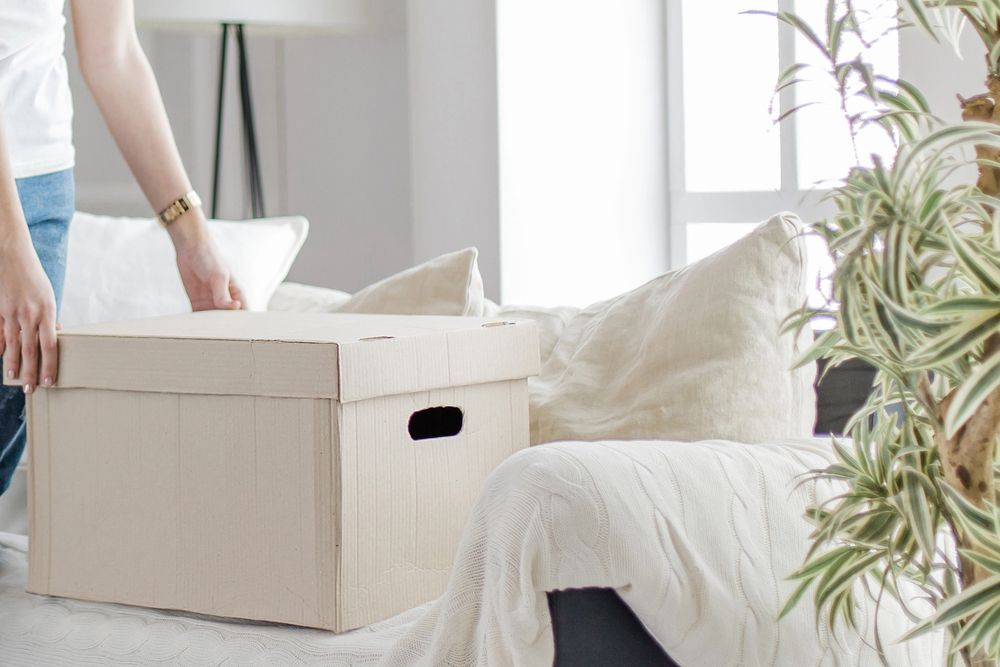 A woman is holding a cardboard box in a living room.