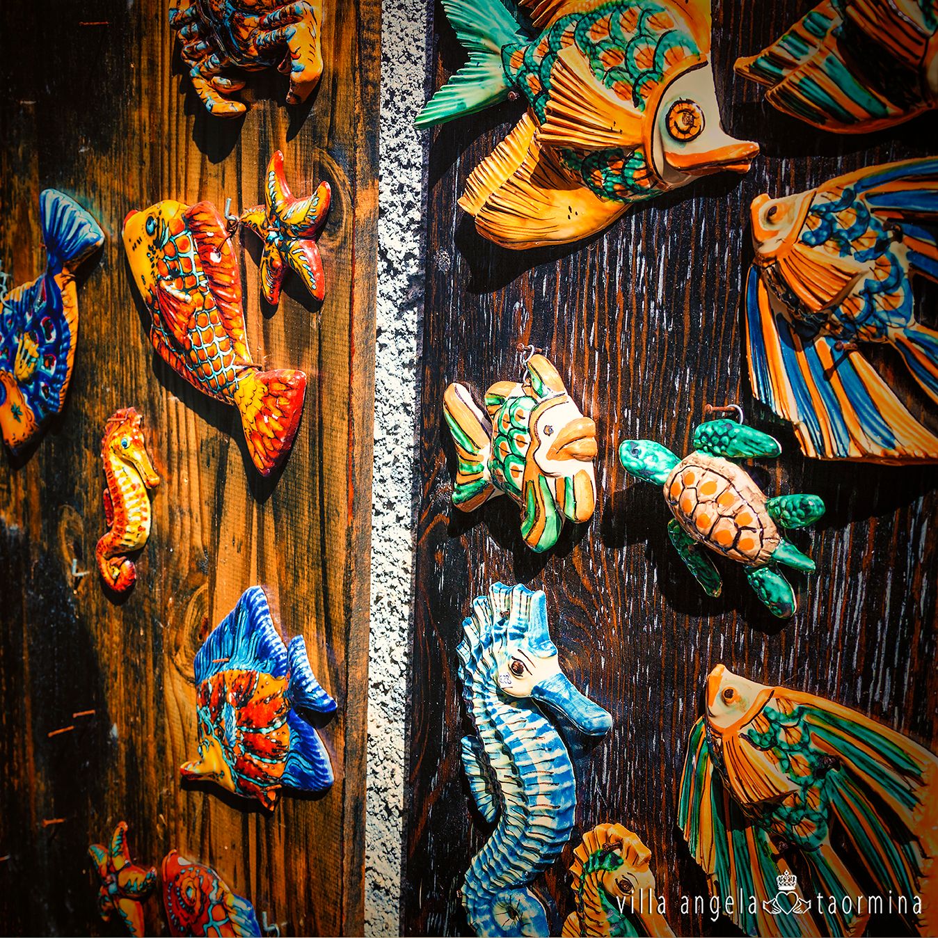 Ein Haufen Fische und Seepferdchen hängen an einer Holzwand