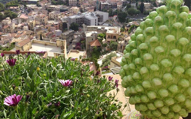 Ein großes grünes Objekt liegt inmitten eines Blumenfeldes.