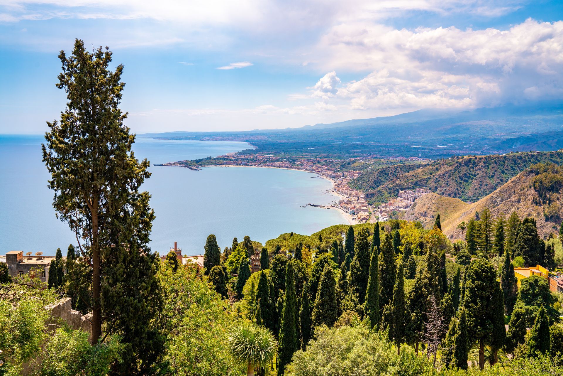 A view of the ocean from a hill with trees in the foreground.