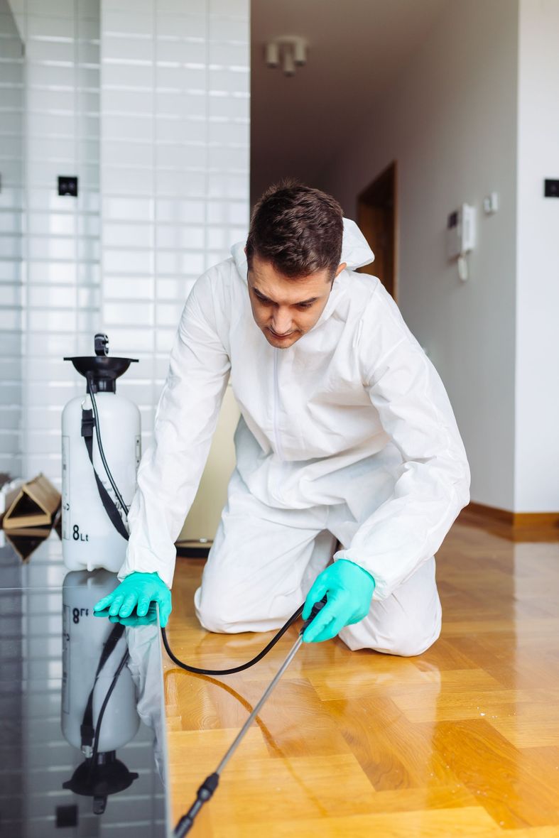 Pest control worker spraying insecticide on a wooden floor near a white cabinet, with bugs visible.