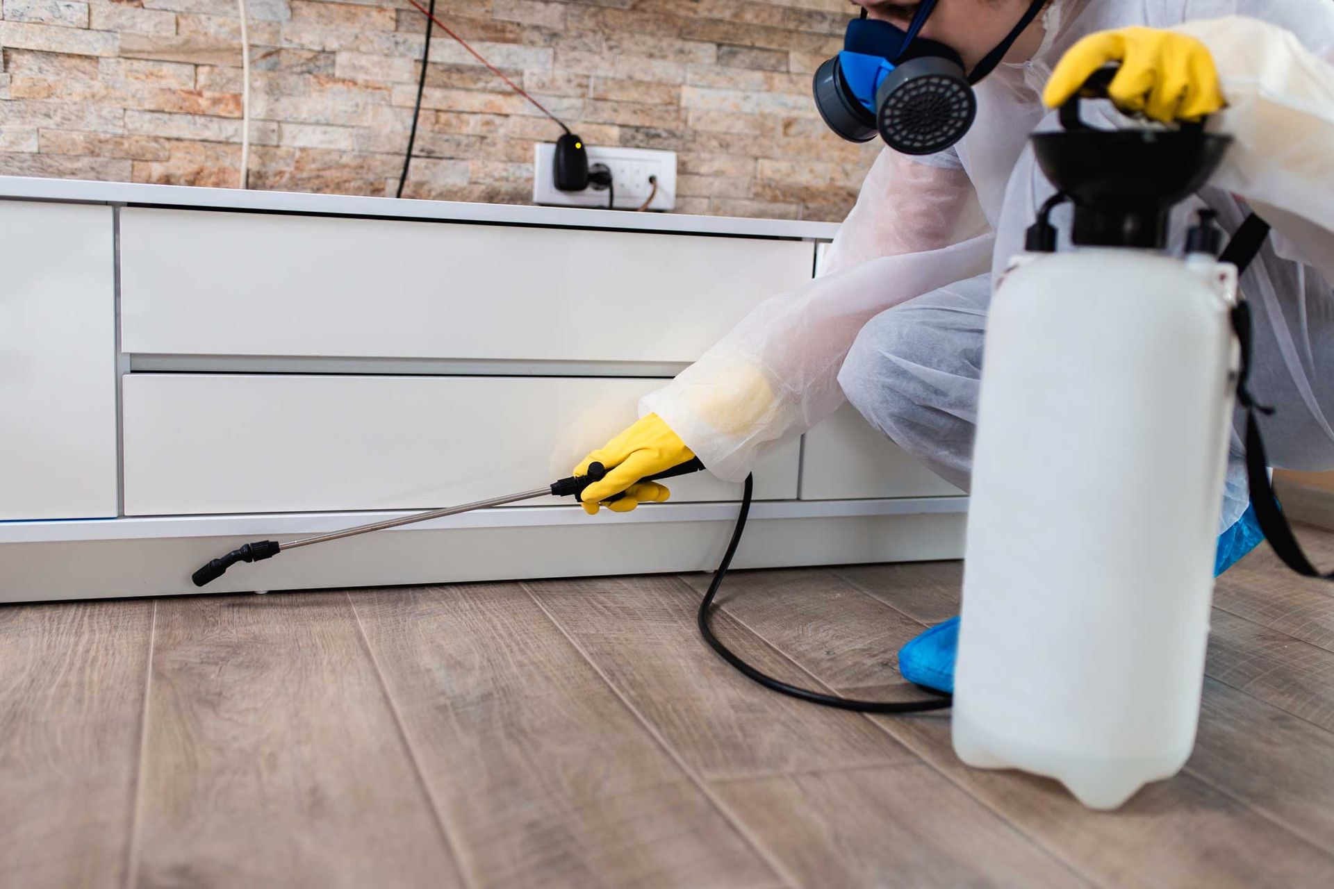 Pest control worker spraying baseboard near floor with a white sprayer and black hose