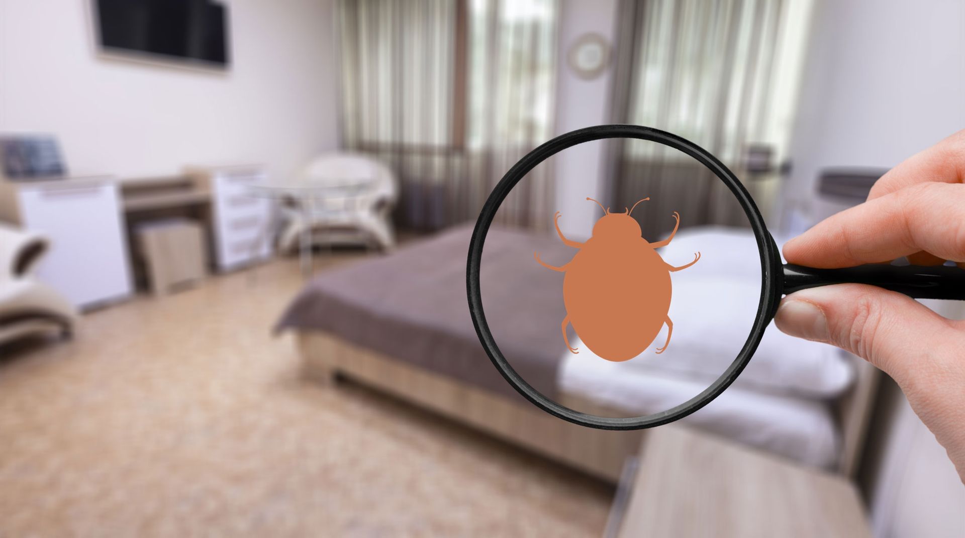 Hand holding a magnifying glass over a blurry bedroom scene, highlighting a small orange bug on the bed.
