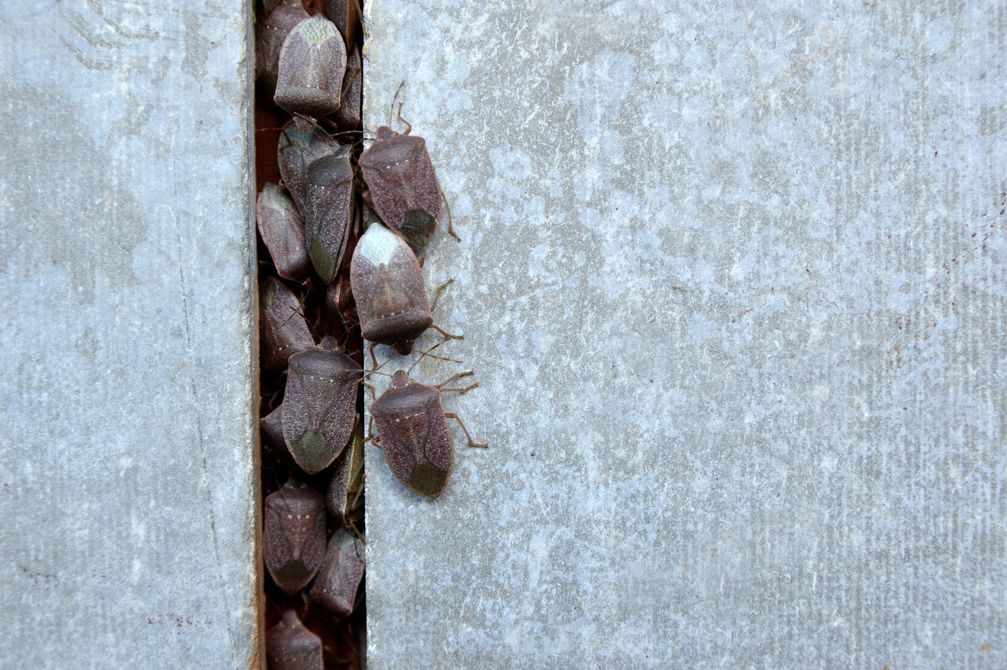 Stacked brown stones in a narrow vertical gap between two light blue concrete walls.