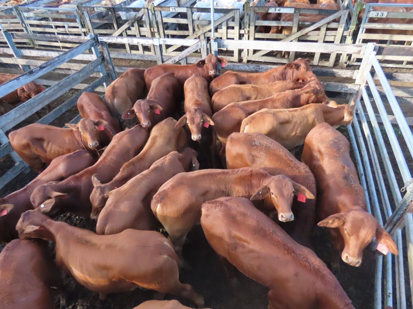 Sullivan Livestock and Rural Services
