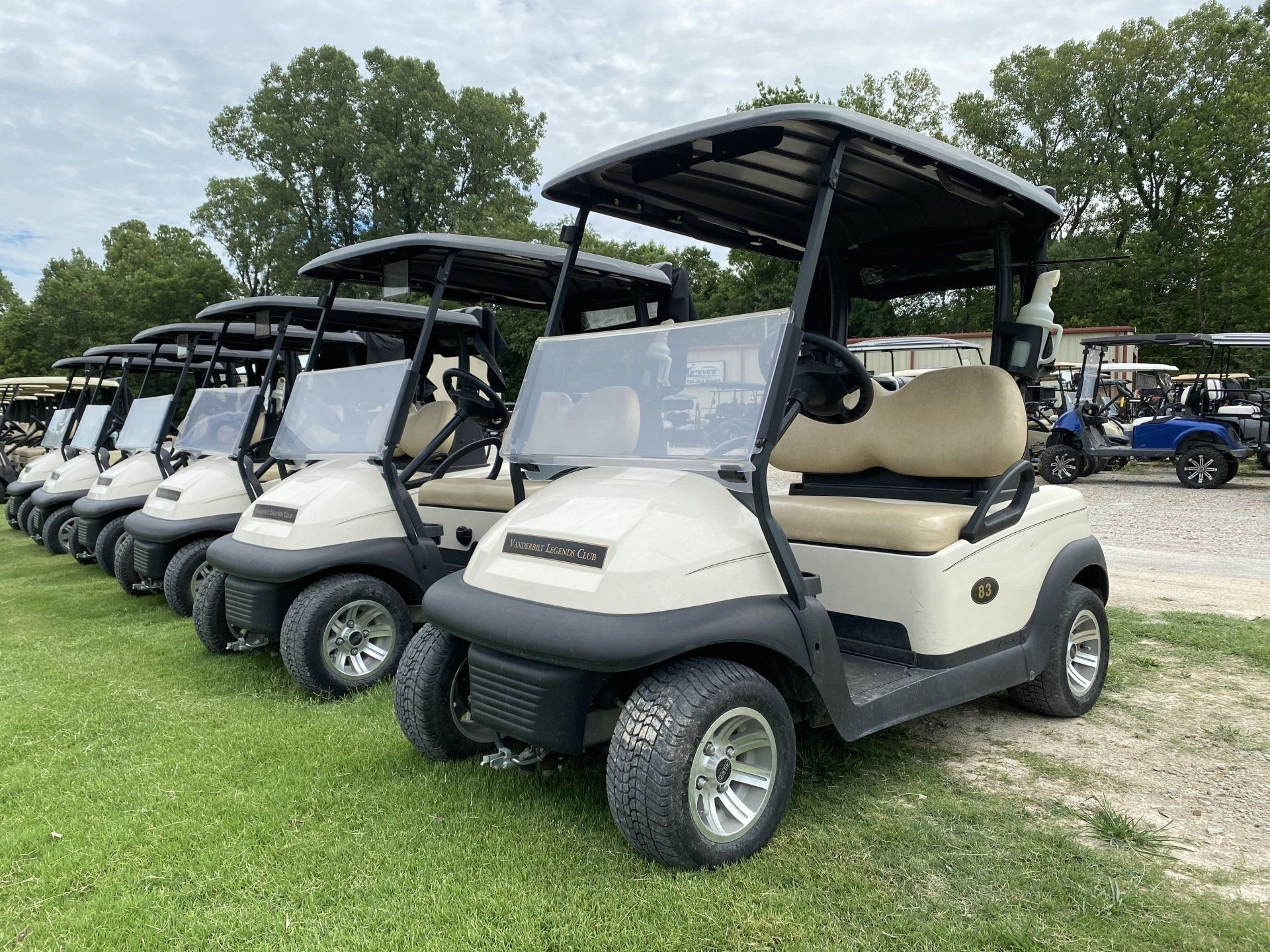 A row of golf carts are parked in a grassy field.