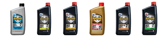 Several bottles of oil are lined up in a row on a white background.