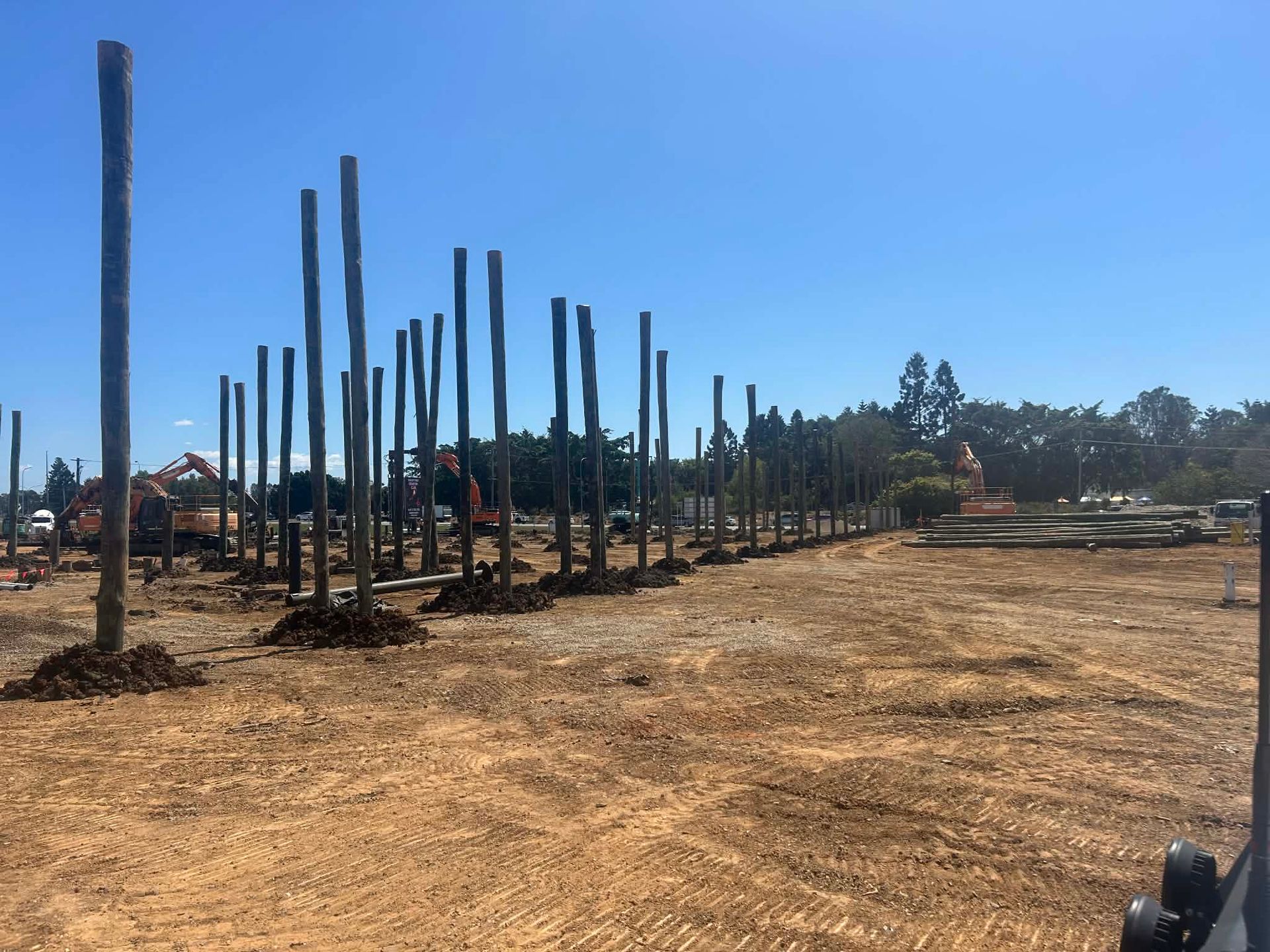Vertical timber piles