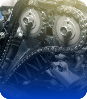 Timing Belt | Vidler's Automotive