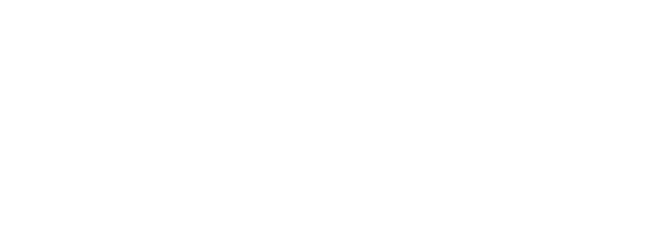 Meyers mgmt logo
