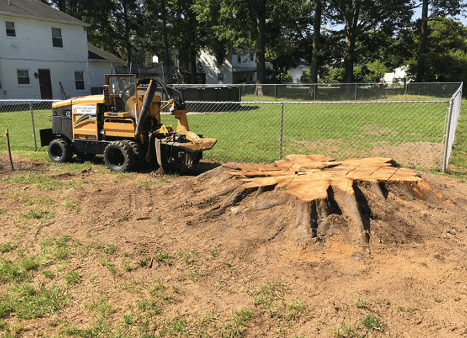 Debris stacked and ready for hauling
