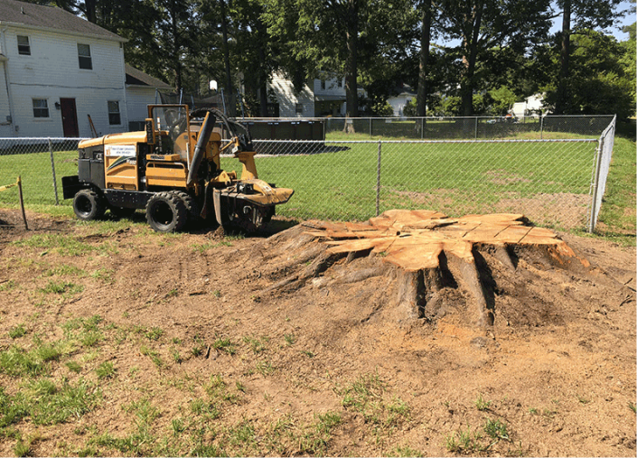 Debris stacked and ready for hauling