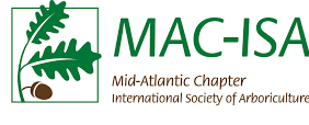 MAC-ISA
