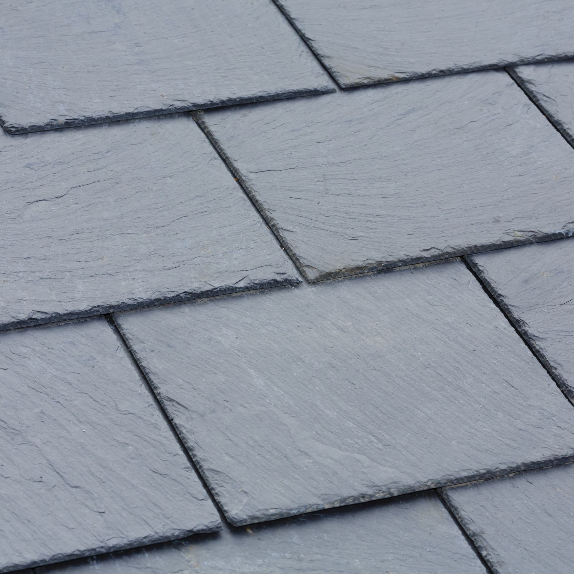 Close-up of dark gray slate roof tiles arranged in a staggered pattern.