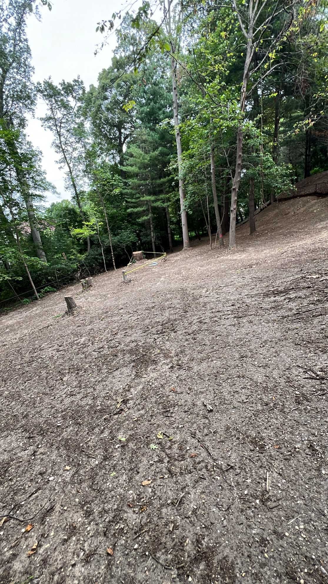 A cleared hillside with exposed soil, leading to a tree line.