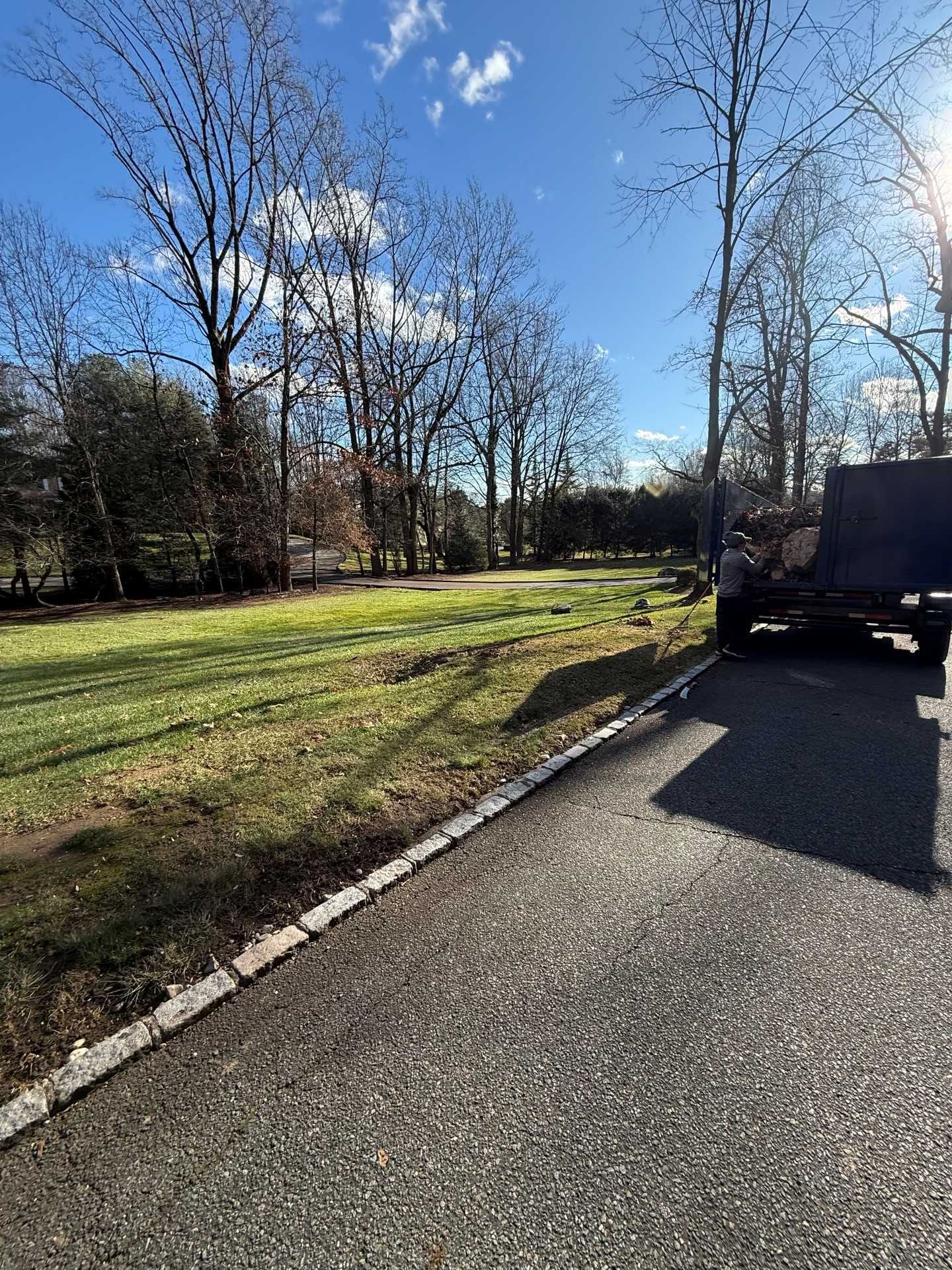 A grassy area with bare trees under a blue sky, viewed from a paved driveway.